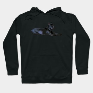 Black Cane Carso Hoodie